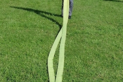 p1